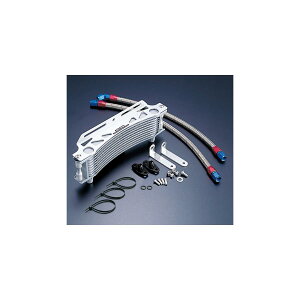 ACTIVE (ANeBu) OILN[[KIT Eh #6 9-13R CBX400F AC14031313