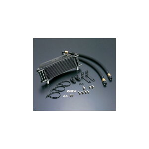 ACTIVE (ANeBu) OILN[[KIT Eh #6 9-13R ubNdl CBX400F AC14031313B