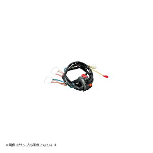 �A�N�e�B�u �X�C�b�`ASSY CBX400F 1381305