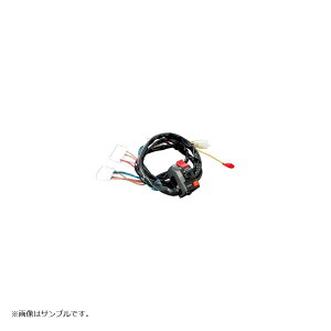 �A�N�e�B�u �X�C�b�`�L�b�g TYPE-1 TW200 00-01 TW225 02-07 1383314