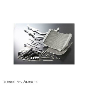 ANeBu rbOWG[^[ RAASSY Vo[ GPZ750R GPZ900R 5050008