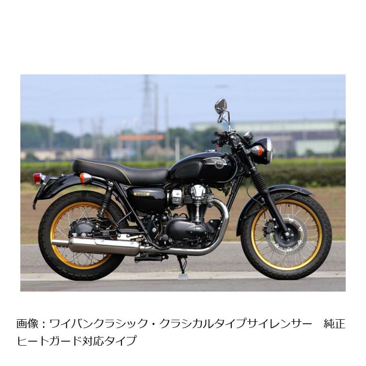 楽天市場】アールズギア ワイバンクラシック ツイン (ヒートガード 