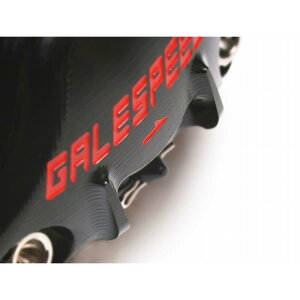 GALE SPEED (QCXs[h) G{[g ALp[ 30 `^{gdl Vo[ WA 60mmsb` GSRCA30TS