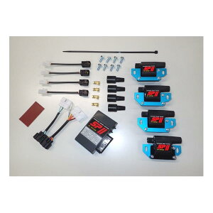 AS�E�I�^�j (�G�[�G�X�E�I�^�j) SP2�t���p���[�L�b�g V-MAX 90- 00215