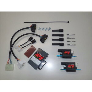 AS�E�I�^�j (�G�[�G�X�E�I�^�j) SP2�t���p���[�L�b�g FZR1000 89-95 00218
