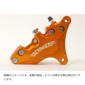 xK[ 4sXgLp[ E Xg[ggv TIGER800 XC CB750 (RC42) IW 4H02