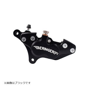 xK[ 4sXgLp[  Xg[ggv TIGER800 XC CB750 (RC42) `^ 4H12