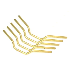 EFFEX (�G�t�F�b�N�X) �C�[�W�[�t�B�b�g�o�[Low S�S�[���h XJR1300 00-06 �i5�{�Z�b�g�i�j EBL301G-5SET