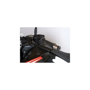 R&G (�A�[���A���h�W�[) �o�[�G���h�X���C�_�[ �u���b�N TR650 STRADA[�X�g���[�_] RG-BE0067BK