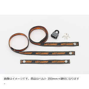 ~coTR[ oCXK[hGA h h~bN R{ 350 t BS-005