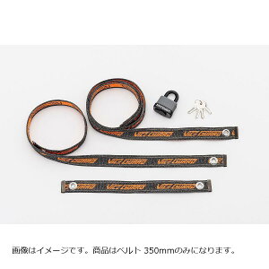 ~coTR[ oCXK[hGA 350 BS-008