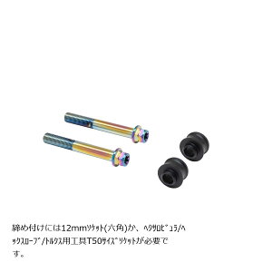 �v���g�u�����{ �I�t�Z�b�g�J���[�}�E���g�{���g�Z�b�g �K���L�����p�[A �t�����W�Z�p �`�^���F ZX-25R/SE ��310(�m�[�}��) CBK-04AFT