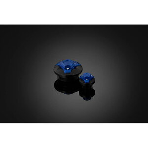 BIKERS (�o�C�J�[�Y) �G���W���v���O 2�� �u���[ �j���W�� Ninja250/400 K0230-BLU