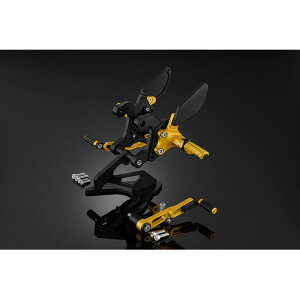 BIKERS (oCJ[Y) obNXebv CgS[h CBR400R H0422-LGD