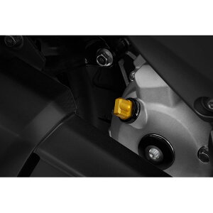 BIKERS (oCJ[Y) ICtB[Lbv CgS[h XMAX Y0315-LGD