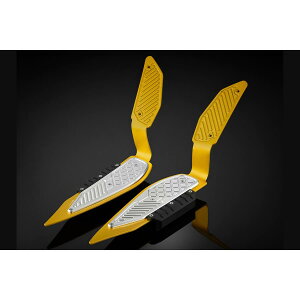 BIKERS (oCJ[Y) tbgv[g EZbg CgS[h/Vo[ XMAX Y0316-LGD-SLV