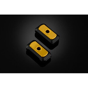 BIKERS (oCJ[Y) `F[AWX^[Lbv 2 CgS[h YZF-R25/R3/MT-25/03 Y0171-LGD