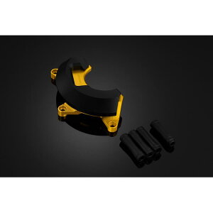 BIKERS (oCJ[Y) GWK[h E CgS[h YZF-R25/R3 MT-25/03 Y0183-LGD