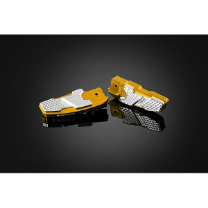 BIKERS (oCJ[Y) ^fXebv CgS[h PCX125/150 H0189-LGD