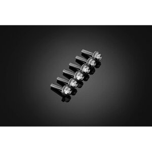 BIKERS (�o�C�J�[�Y) �X�N���[���p �X�e�����X�{���g 6�� �O���[ YZF-R15/R125 C0424-GRY