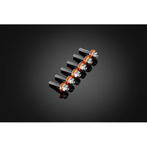 BIKERS (�o�C�J�[�Y) �X�N���[���p �X�e�����X�{���g 6�� �I�����W�S�[���h YZF-R15/R125 C0424-OGD