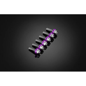 BIKERS (�o�C�J�[�Y) �X�N���[���p �X�e�����X�{���g 6�� �p�[�v�� YZF-R15/R125 C0424-PUR