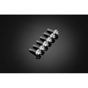 BIKERS (�o�C�J�[�Y) �X�N���[���p �X�e�����X�{���g 6�� �V���o�[ YZF-R15/R125 C0424-SLV