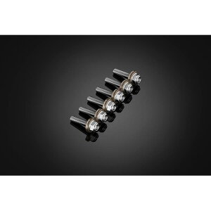 BIKERS (�o�C�J�[�Y) �X�N���[���p �X�e�����X�{���g 6�� �`�^�� YZF-R15/R125 C0424-TIN
