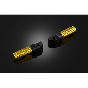 BIKERS (oCJ[Y) ^fXebv CgS[h CBR250RR H0773-LGD