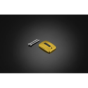BIKERS (oCJ[Y) U[o[^NLbv CgS[h CBR650R/CB650R H0910-LGD