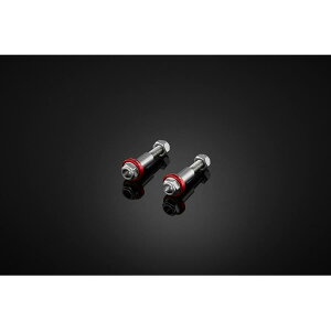 BIKERS (oCJ[Y) o[p XeX{g bh NMAX 16-25 C0402-bh