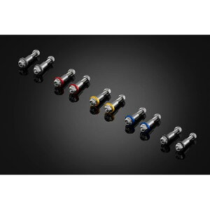 BIKERS (oCJ[Y) o[p XeX{g Vo[ NMAX 16-25 C0402-SLV