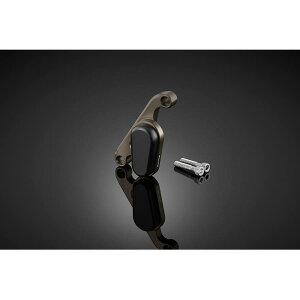 BIKERS (oCJ[Y) tgLp[K[h `^ ADV150 H0719-TIN