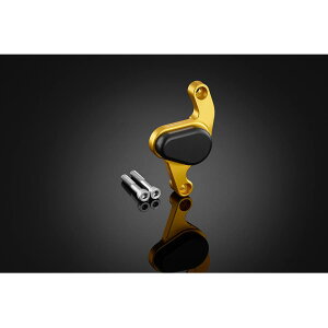 BIKERS (oCJ[Y) ALp[K[h CgS[h ADV150 H0723-LGD