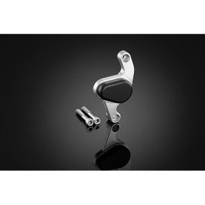 BIKERS (oCJ[Y) ALp[K[h Vo[ ADV150 H0723-SLV