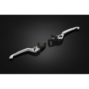 BIKERS (oCJ[Y) | AWX^u o[Zbg Vo[ X-ADV 21 H0917-SLV