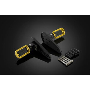 BIKERS (oCJ[Y) XebvLbg CgS[h X-ADV 21 H0925-LGD