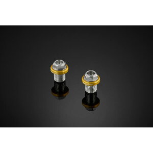 BIKERS (バイカーズ) ミラーホール用ステンレスボルト ライトゴールド ニンジャ250 Ninja250/R/SL CB250R CBR650R C0400-LGD