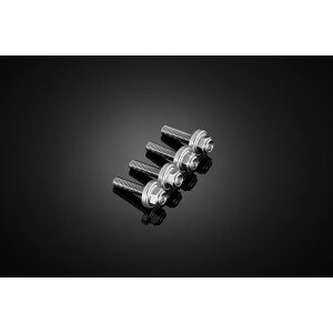 BIKERS (�o�C�J�[�Y) �X�N���[���p�X�e���{���g�Z�b�g �V���o�[ ADV150 Z900 Z650 X-ADV C0409-SLV