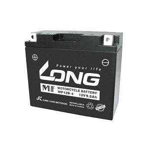 Oobe[ obe[ 12V/9.5Ah t ݊ YT12B-BS GT12B-4  WP12B-4