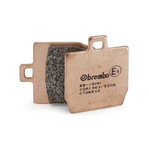 brembo (u{) ZGI ZGI u[Lpbh XS (SERIEORO) 07066XS