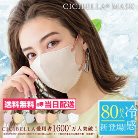 マスク 不織布 立体 3Dマスク 立体マスク 不織布マスク バイカラーマスク 血色マスク 小顔マスク マスク カラーマスク くちばし マスク 冷感マスク 花粉対策 99% オシャレ cicibella シシベラ マスク cicibellaマスク 送料無料 20枚 40枚 80枚