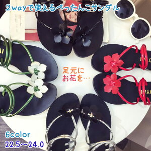 y z 2wayŎg fB[X t[T_ T_ ؂