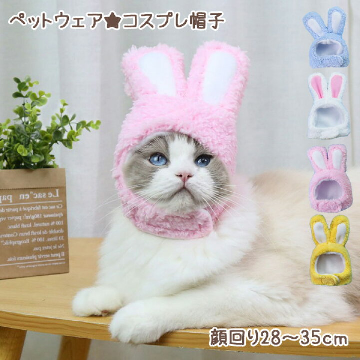 楽天市場】【メ送料無料】【在庫処分特価】猫ちゃん☆うさ耳コスプレ 