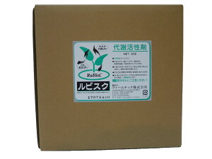 b̃oCIXeB~g A tʎUz Ah{܁wrXNx20L