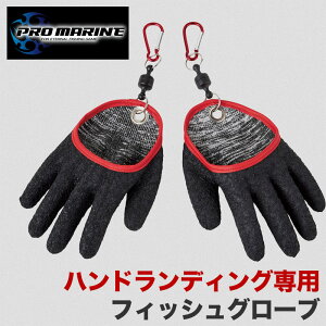 tBbVO[u ނ tBbVO ͂ Obv z[h O[u  ~ Jrit ލsp ی fBO T|[g   J  V[oX  bNt