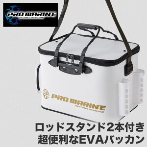 EVA obJ bhX^h 2{ Ɨ ނ  ނ ދ tBbVO ނ h D g ^ RpNg v EVAf y a  [ P[X V_[ xg 