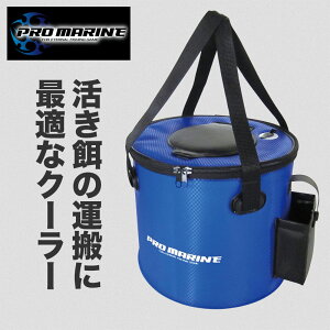 a ^ N[[ ނ  ނ ދ tBbVO Cނ ނ h D g ^ RpNg v EVAf y a a   ނpi  ۗ fM Wt  