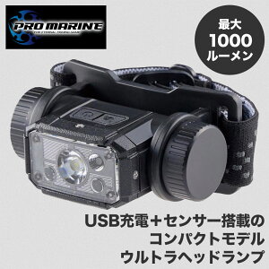 wbhCg ނ  wbh Cg wbhv LED USB[d  ނ ދ tBbVO ނ ނ h D g ^ RpNg v ZT[ USB [d  1000 [ L