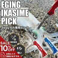 イカ締め ピック 烏賊 締め具 絞め具 神経締め 釣り 釣り具 フィッシング エギング イカ釣り アオリイカ …